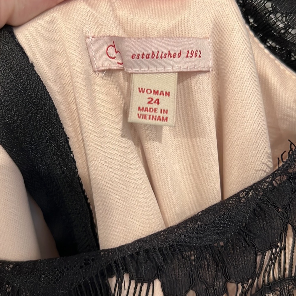 Dress Barn Tea Length Black Lace/Nude Formal Dress - Picture 4 of 6